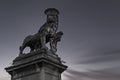 Lion statue symbol of Venice in the historic area of Ã¢â¬â¹Ã¢â¬â¹Monselice, Padua. Night photography.